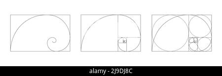 Goldenes Ratio-Symbol. Logarithmische Spirale im rechteckigen Rahmen, die auf Quadraten und Kreisen umrahmet ist. Fibonacci-Sequenzzeichen. Vorlage für ideale Symmetrieproportionen für die Fotografie. Vektordarstellung Stock Vektor