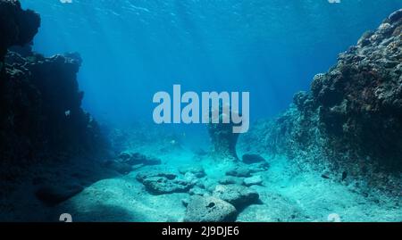 Felsiger Meeresboden, natürliche Unterwasserlandschaft im Pazifischen Ozean, Französisch-Polynesien Stockfoto