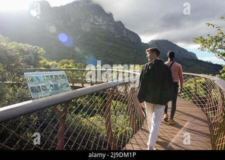 Kapstadt, Südafrika. 22.. Mai 2022. Besucher spazieren am 22. Mai 2022 im Kirstenbosch National Botanical Garden in Kapstadt, Südafrika. Quelle: Lyu Tianran/Xinhua/Alamy Live News Stockfoto