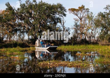 Ein Luftschiff auf einer Sumpftour auf der Suche nach Alligatoren, in der Nähe von New Orleans, Louisiana Stockfoto