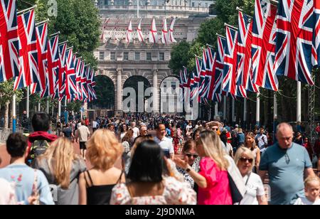 Tourist fotografiert die Union Jack-Flaggen, die von der Mall bis zum Buckingham Palace vor dem Platinum Jubilee der Königin gehangen wurden Stockfoto