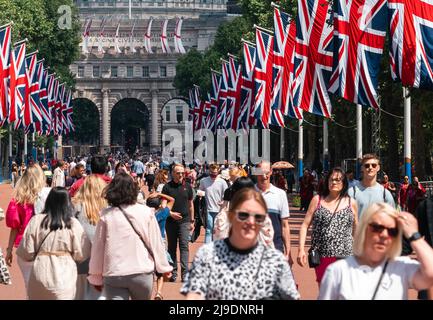 Tourist fotografiert die Union Jack-Flaggen, die von der Mall bis zum Buckingham Palace vor dem Platinum Jubilee der Königin gehangen wurden Stockfoto