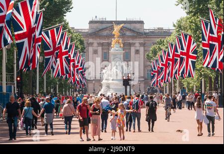 Tourist fotografiert die Union Jack-Flaggen, die von der Mall bis zum Buckingham Palace vor dem Platinum Jubilee der Königin gehangen wurden Stockfoto