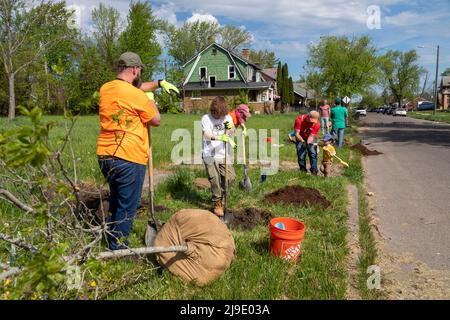 Detroit, Michigan - Freiwillige von The Greening of Detroit und der Morningside Community Organization Pflanzen Bäume auf der Ostseite von Detroit. Stockfoto