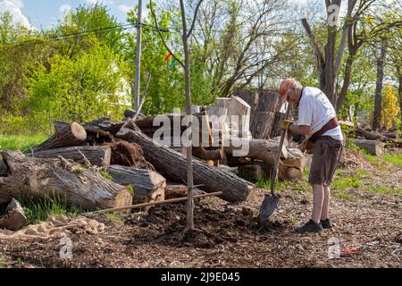 Detroit, Michigan - Freiwillige von The Greening of Detroit und der Morningside Community Organization Pflanzen Bäume auf der Ostseite von Detroit. Stockfoto