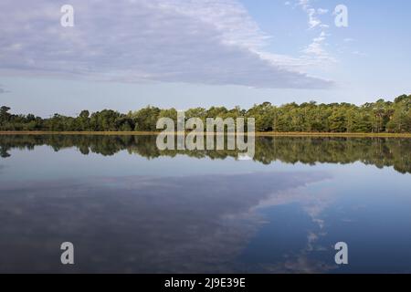 Baumgrenze mit der wolkigen Reflexion im Spiegelsee Stockfoto