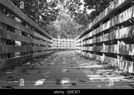 Schwarz-weiße Mangrovenlandschaften von der Promenade aus Stockfoto