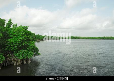 Wolkiger floridas Tag auf dem Meer Stockfoto