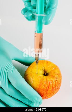 Eine Hand in einem medizinischen Handschuh führt eine Spritze in den Apfel ein. Schädliche Lebensmittelzusatzstoffe. GVO-Konzept Stockfoto
