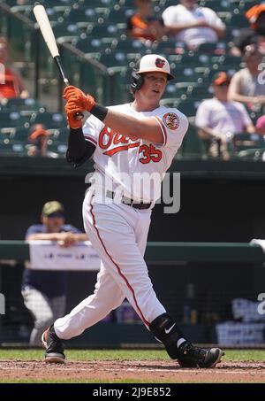 BALTIMORE, MD - MAI 22: Baltimore Orioles Catcher Adley Rutschman (35) bei Fledermaus während eines MLB-Spiels zwischen den Baltimore Orioles und den Tampa Bay Rays, am 22. Mai 2022, im Orioles Park in Camden Yards, in Baltimore, Maryland. (Foto von Tony Quinn/SipaUSA) Stockfoto
