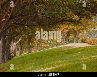 Rolling Hills an einem sonnigen tag in florida Stockfoto