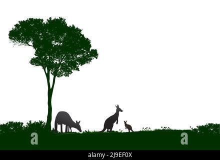 Grüne Silhouette mit Baum und Kängurus, die sich mit weißem Hintergrund füttern Stock Vektor