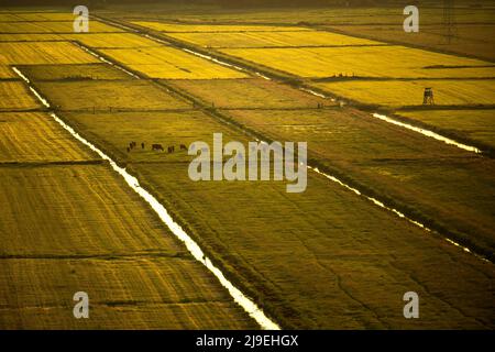 Bremen, Deutschland. 23.. Mai 2022. Die Sonne geht über dem Blockland in Bremen auf. Quelle: Sina Schuldt/dpa/Alamy Live News Stockfoto