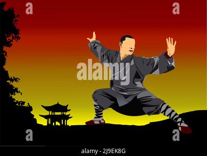 Orientalischer Kampfsport. Kungfu. Farbige vektorgrafik 3D Stock Vektor