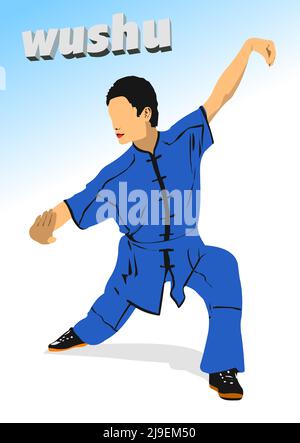 Orientalischer Kampfsport. Wushu. Farbige vektorgrafik 3D. Stock Vektor