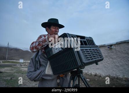 (220523) -- DAMXUNG, 23. Mai 2022 (Xinhua) -- Lodro richtet den digitalen Filmprojektor in Barling Village, Damxung County in Lhasa, südwestlich der Autonomen Region Tibet, ein, 20. Mai 2022. Lodro lebt in Damxung County in Lhasa und ist ein ländlicher Vorführer von gemeinnützigen Open-Air-Kinos. Seit 1985 bereist Lodro fast zweihundert Dörfer auf den Grasländern Nordtibets. Für das Publikum in abgelegenen Gebieten wiederholt Lodro immer wieder Filmvorführungen, indem er die Leinwand und die Stereoanlage einstellt, Generator und Projektor überprüft und bei Problemen umgeht und sich für Profis ausrüstet Stockfoto