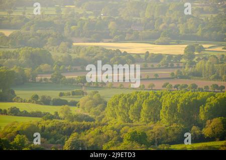 Farming Fields Tal mit reichen Mustern von frischen grünen Farben im Frühjahr, überflutet in warmen Susnet Licht. Shropshire in Großbritannien Stockfoto