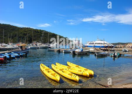 Die Insel Port Cros, die zu den Hyeres-Inseln gehört, ist ein geschützter maritimer Nationalpark Stockfoto