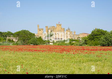 Mohnblumen im Frühling und Schloss Olite in Navarra Stockfoto