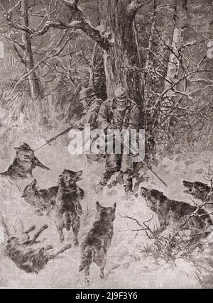 Erster Weltkrieg. Deutsche Soldaten in den Pinsk-Sümpfen. Ostfront (Russisch). 1916 Stockfoto