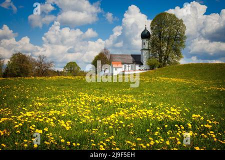 DE - BAYERN: Maria Heimsuchung in Oberbuchen bei Bad Heilbrunn Stockfoto