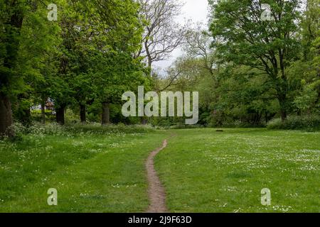 Pfad durch eine offene Fläche in der Garden Village Gegend von Newcastle upon Tyne, Großbritannien Stockfoto