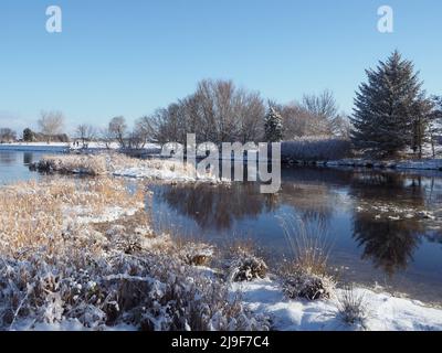 Kalter, heller Wintertag mit klarem blauen Himmel, Schnee auf dem Boden, Eis im Wasser mit Reflexen der Bäume. Goldene Gräser am Flussufer. Stockfoto