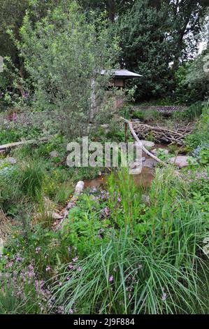 London, Großbritannien. 23.. Mai 2022. Rewilding Britain Landscape Garden, einer der schönen Schaugärten, der auf der Royal Horticultural Society Chelsea Flower Show 2022 ausgestellt wurde, die heute auf dem Gelände des Royal Hospital Chelsea in Chelsea, London, Großbritannien, am 23. Mai 2022 eröffnet wurde. Der Garten zeigt eine wilde Landschaft in Südwestengland nach der Wiedereinführung einer einheimischen Keystone-Spezies – dem Biber. Kredit: Michael Preston/Alamy Live Nachrichten Stockfoto