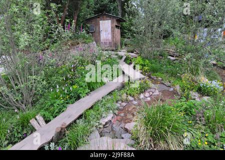 London, Großbritannien. 23.. Mai 2022. Rewilding Britain Landscape Garden, einer der schönen Schaugärten, der auf der Royal Horticultural Society Chelsea Flower Show 2022 ausgestellt wurde, die heute auf dem Gelände des Royal Hospital Chelsea in Chelsea, London, Großbritannien, am 23. Mai 2022 eröffnet wurde. Der Garten zeigt eine wilde Landschaft in Südwestengland nach der Wiedereinführung einer einheimischen Keystone-Spezies – dem Biber. Kredit: Michael Preston/Alamy Live Nachrichten Stockfoto