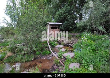 London, Großbritannien. 23.. Mai 2022. Rewilding Britain Landscape Garden, einer der schönen Schaugärten, der auf der Royal Horticultural Society Chelsea Flower Show 2022 ausgestellt wurde, die heute auf dem Gelände des Royal Hospital Chelsea in Chelsea, London, Großbritannien, am 23. Mai 2022 eröffnet wurde. Der Garten zeigt eine wilde Landschaft in Südwestengland nach der Wiedereinführung einer einheimischen Keystone-Spezies – dem Biber. Kredit: Michael Preston/Alamy Live Nachrichten Stockfoto