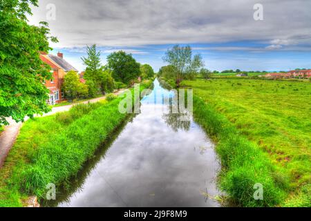 Kanal im westlichen Land Bridgwater und Taunton Englisch Wasserstraße mit Bäumen Großbritannien Stockfoto