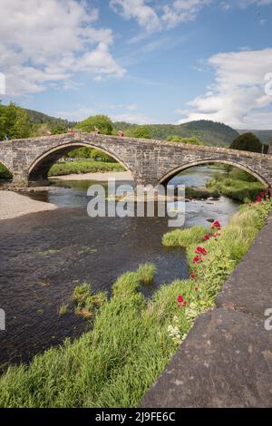 Pont Fawr (Llanrwst Bridge) River Conwy, Llanrwst, Conwy, Wales, Großbritannien Stockfoto