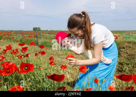 Eine Mutter, die ihrem kleinen Kind leuchtend rote Mohnblumen zeigt Stockfoto