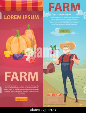 Light Farming vertikale Banner mit natürlichem Gemüse Obst und bärtig Farmer auf grünen Feld Landschaft Vektor-Illustration Stock Vektor