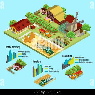 Isometrische Bauernhof Infografik Konzept mit Haus Scheune Mühle Tiere Bauern Ernteprozess Gewächshaus Transport Heugraphen isoliert Vektor illustratio Stock Vektor