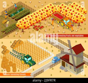 Isometrische Landwirtschaft horizontale Banner mit Menschen Mühle landwirtschaftliche Fahrzeuge Obst Gemüse und Weizen Ernteprozess isoliert Vektor-Illustration Stock Vektor