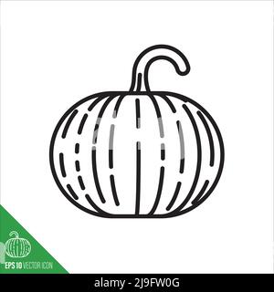 Connecticut Feld Kürbis , Winter Squash Gemüse Symbol, Umriss Stil Vektor Illustration Stock Vektor