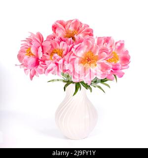 Ein großer Haufen wunderschöner rosa Pfingstrosen in einer weißen Vase, fotografiert vor einem schlichten weißen Hintergrund Stockfoto