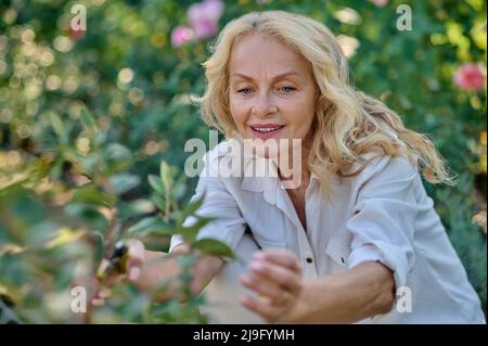 Frau schaut auf Blätter, die in der Nähe der Pflanze hocken Stockfoto