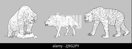 Prähistorische Raubtiere - Höhlenbär, schrecklicher Wolf und kurzgesichtige Bären. Zeichnung mit ausgestorbenen Raubtieren. Malbuch mit Wolf und Bär. Stockfoto