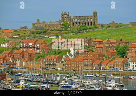 Whitby East Cliff mit Whitby Abbey Beyond und Whitby Marina am Fluss Esk im Vordergrund, North Yorkshire, England. Stockfoto