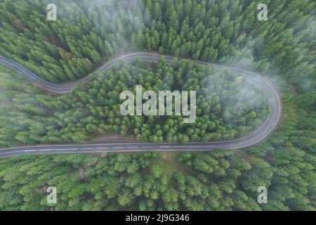 Luftaufnahme der Bergstraße im schönen Wald im Frühling. Draufsicht auf die kurvenreiche Straße, die durch den grünen Wald führt Stockfoto