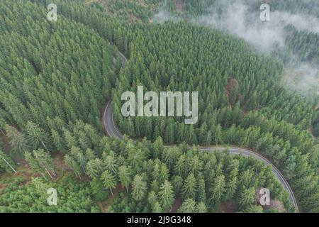 Luftaufnahme der Bergstraße im schönen Wald im Frühling. Draufsicht auf die kurvenreiche Straße, die durch den grünen Wald führt Stockfoto