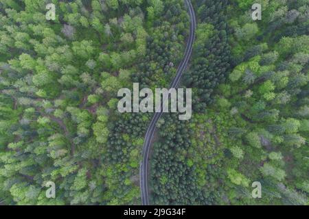 Luftaufnahme der Bergstraße im schönen Wald im Frühling. Draufsicht auf die kurvenreiche Straße, die durch den grünen Wald führt Stockfoto