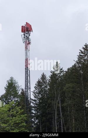 Landschaftsaufnahme mit einem rot-weißen Mobilfunk- und Telekommunikationsturm zwischen Nadelbäumen in einem Wald gegen den wolkigen weißen Himmel Stockfoto