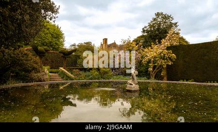 Frühlingszeit im Lily Pool Garden in Hidcote Manor Garden, Cotswolds, Chipping Camden, Gloucestershire, England, Vereinigtes Königreich. Stockfoto