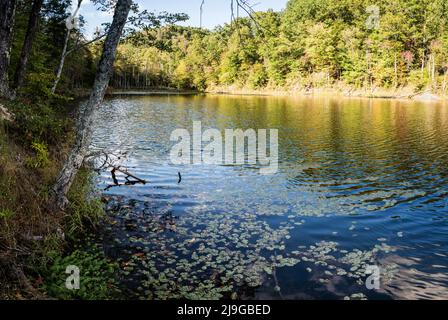 Panoramic view of Eagle Lake in Morehead, Kentucky in fall Stockfoto