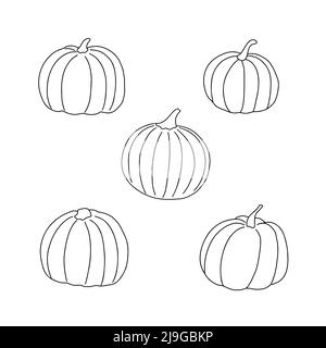 Kürbis Set handgezeichnete Vektor-Umriss Vektor-Illustration in hellen warmen Farben, Gemüse für saisonale Herbstferien Feier Design, gesunde vegetarische Ernährung, Thanksgiving, Halloween Clip Art Stock Vektor