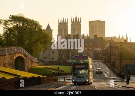 Sonnenaufgang im Frühling im Zentrum von York dominiert das York Minster die Skyline. North yorkshire, England. Stockfoto