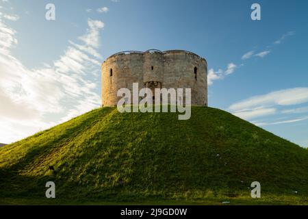 Frühlingsmorgen im Clifford Tower in York, England. Stockfoto